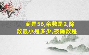 商是56,余数是2,除数最小是多少,被除数是