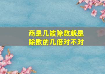 商是几被除数就是除数的几倍对不对