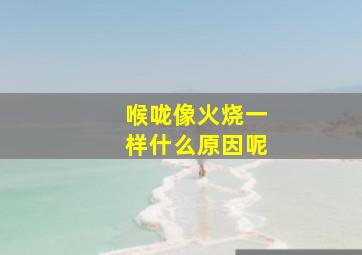 喉咙像火烧一样什么原因呢