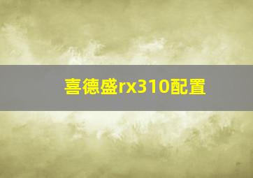 喜德盛rx310配置