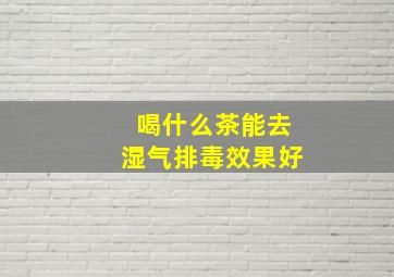 喝什么茶能去湿气排毒效果好