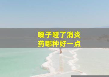 嗓子哑了消炎药哪种好一点