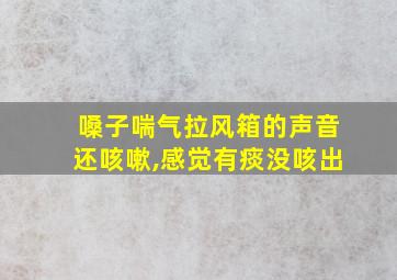 嗓子喘气拉风箱的声音还咳嗽,感觉有痰没咳出