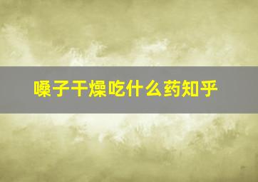 嗓子干燥吃什么药知乎