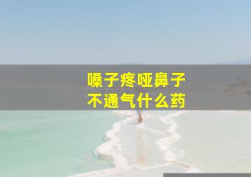 嗓子疼哑鼻子不通气什么药