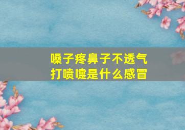 嗓子疼鼻子不透气打喷嚏是什么感冒