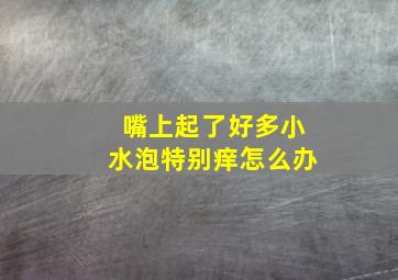 嘴上起了好多小水泡特别痒怎么办