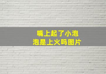 嘴上起了小泡泡是上火吗图片