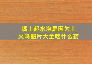 嘴上起水泡是因为上火吗图片大全吃什么药