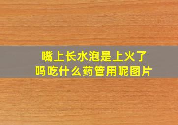 嘴上长水泡是上火了吗吃什么药管用呢图片