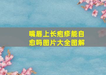 嘴唇上长疱疹能自愈吗图片大全图解