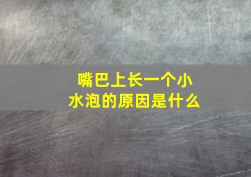 嘴巴上长一个小水泡的原因是什么