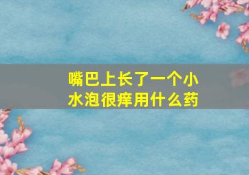 嘴巴上长了一个小水泡很痒用什么药