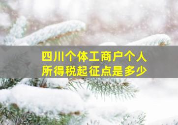 四川个体工商户个人所得税起征点是多少