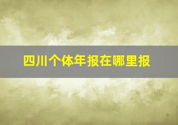 四川个体年报在哪里报