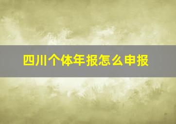 四川个体年报怎么申报