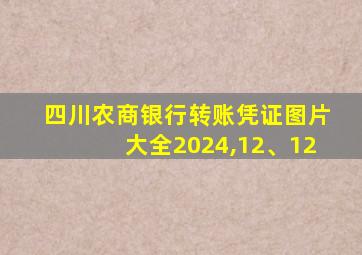 四川农商银行转账凭证图片大全2024,12、12