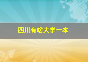 四川有啥大学一本