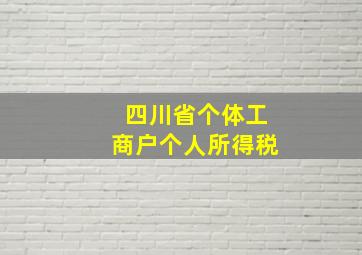 四川省个体工商户个人所得税