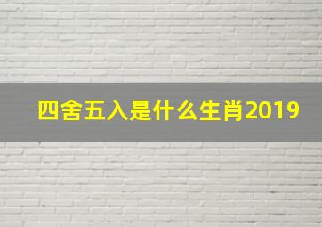 四舍五入是什么生肖2019