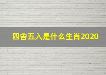 四舍五入是什么生肖2020