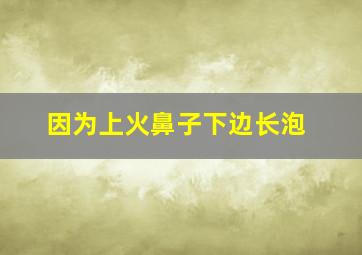 因为上火鼻子下边长泡