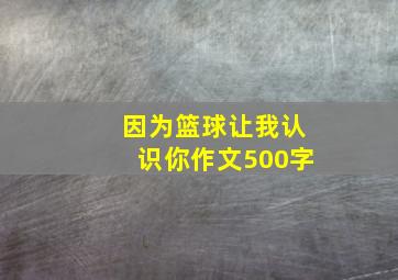 因为篮球让我认识你作文500字