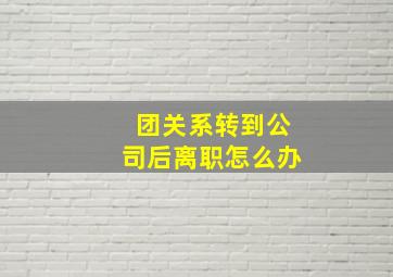 团关系转到公司后离职怎么办