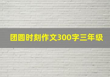 团圆时刻作文300字三年级