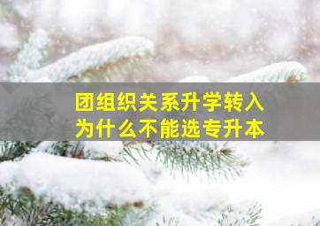 团组织关系升学转入为什么不能选专升本