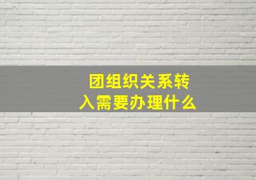 团组织关系转入需要办理什么