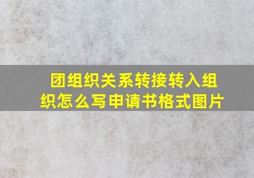 团组织关系转接转入组织怎么写申请书格式图片