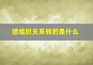 团组织关系转的是什么