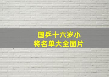 国乒十六岁小将名单大全图片