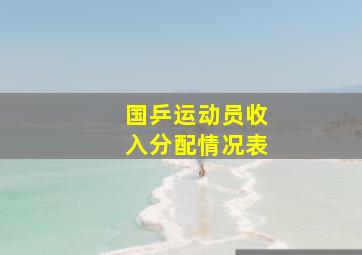 国乒运动员收入分配情况表