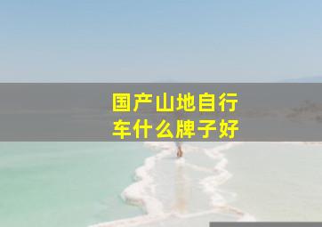 国产山地自行车什么牌子好