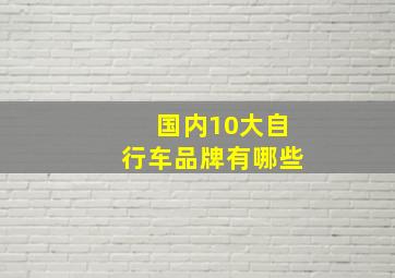 国内10大自行车品牌有哪些