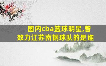 国内cba篮球明星,曾效力江苏南钢球队的是谁