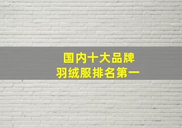 国内十大品牌羽绒服排名第一