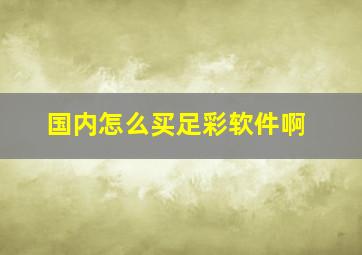 国内怎么买足彩软件啊