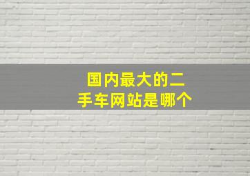 国内最大的二手车网站是哪个