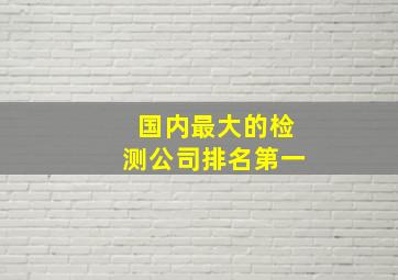 国内最大的检测公司排名第一