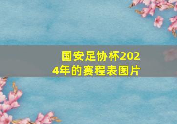 国安足协杯2024年的赛程表图片