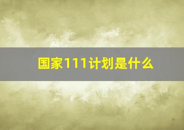 国家111计划是什么