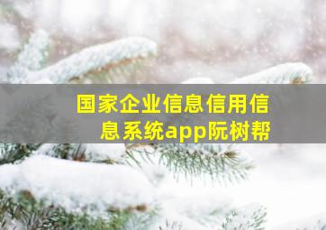 国家企业信息信用信息系统app阮树帮