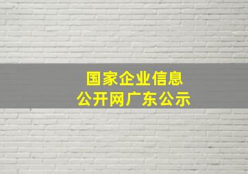 国家企业信息公开网广东公示