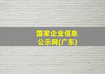 国家企业信息公示网(广东)