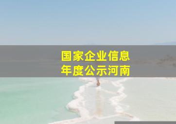 国家企业信息年度公示河南