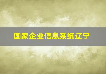 国家企业信息系统辽宁