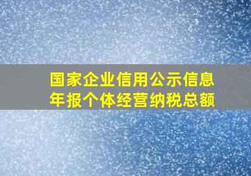 国家企业信用公示信息年报个体经营纳税总额